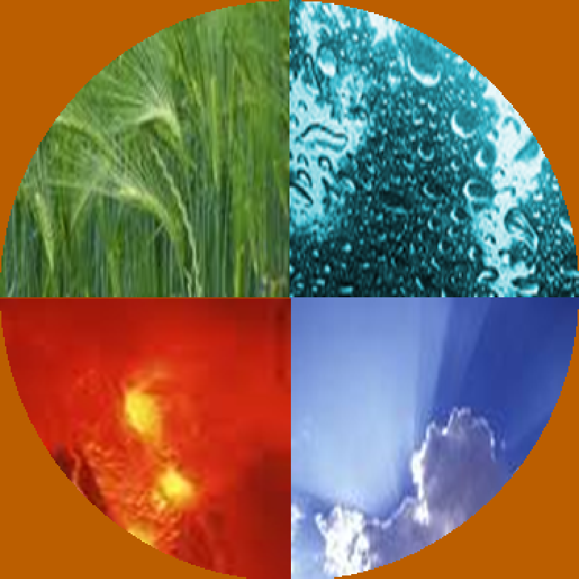 Thérapie intégrative